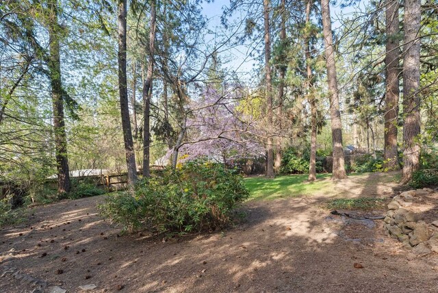 3915 E Funk Ave, Spokane, WA 99223 - photo 31