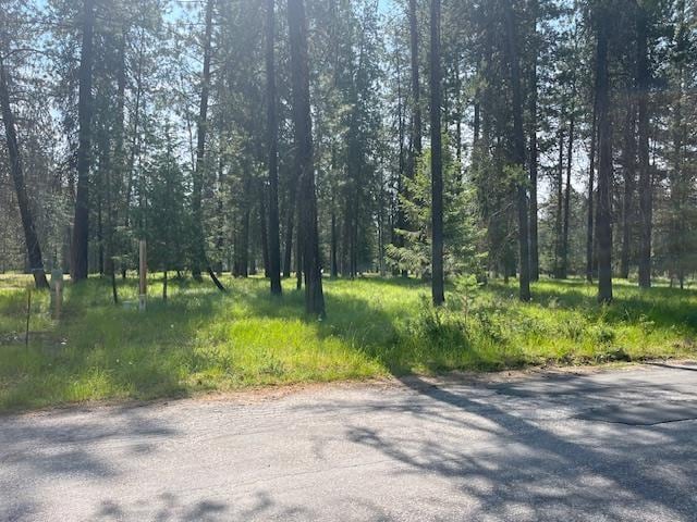 203 Eagle Dr, Chewelah, WA 99109