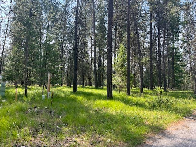 203 Eagle Dr, Chewelah, WA 99109