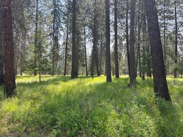 203 Eagle Dr, Chewelah, WA 99109