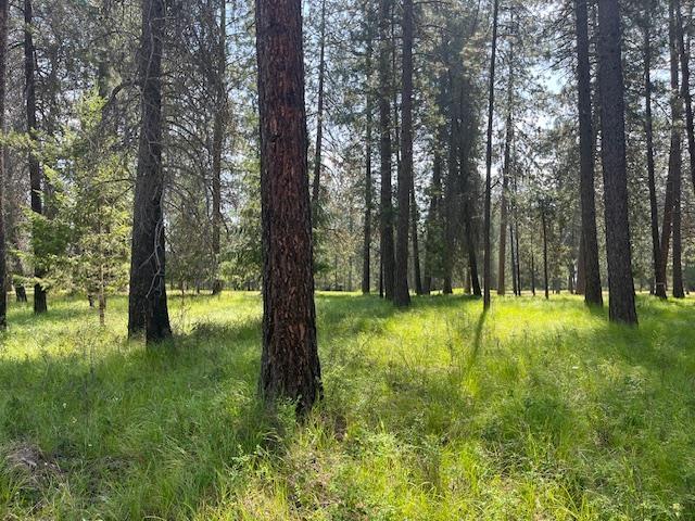 203 Eagle Dr, Chewelah, WA 99109