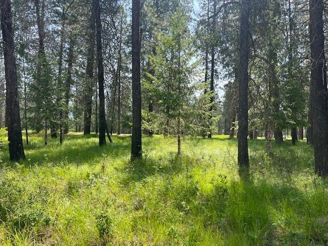 203 Eagle Dr, Chewelah, WA 99109