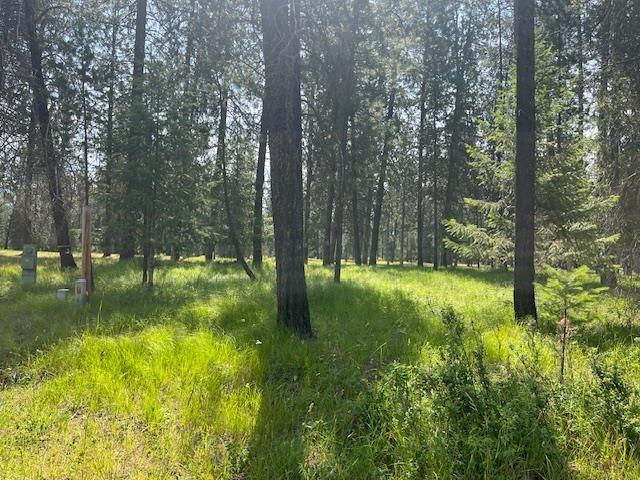 203 Eagle Dr, Chewelah, WA 99109
