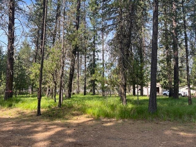 203 Eagle Dr, Chewelah, WA 99109