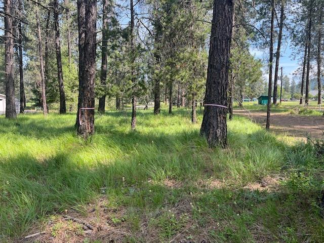 203 Eagle Dr, Chewelah, WA 99109