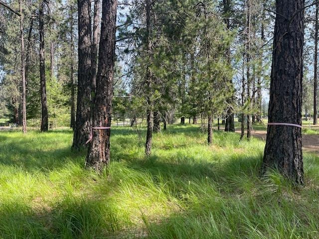 203 Eagle Dr, Chewelah, WA 99109