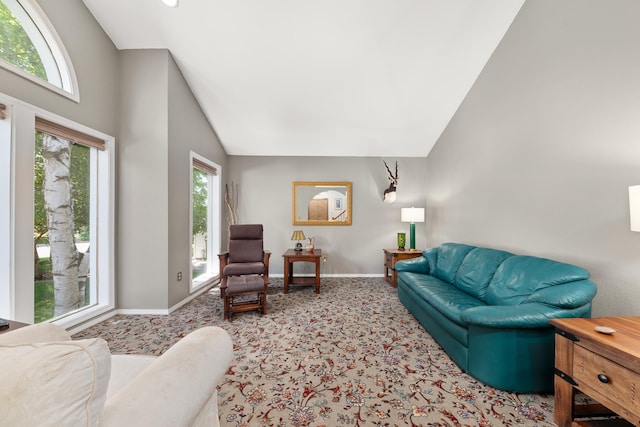 2913 E 61st Ct, Spokane, WA 99223 - living room with carpet floors and lofted ceiling