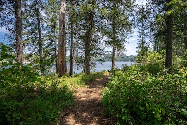 237 Mountain View Dr, Newport, WA 99156 - photo 21