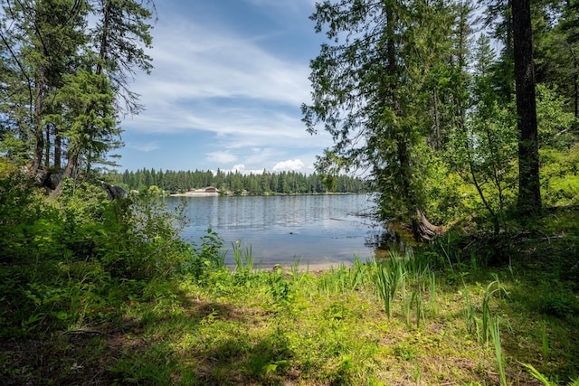237 Mountain View Dr, Newport, WA 99156 - photo 24