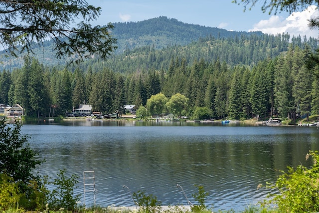 237 Mountain View Dr, Newport, WA 99156 - photo 27
