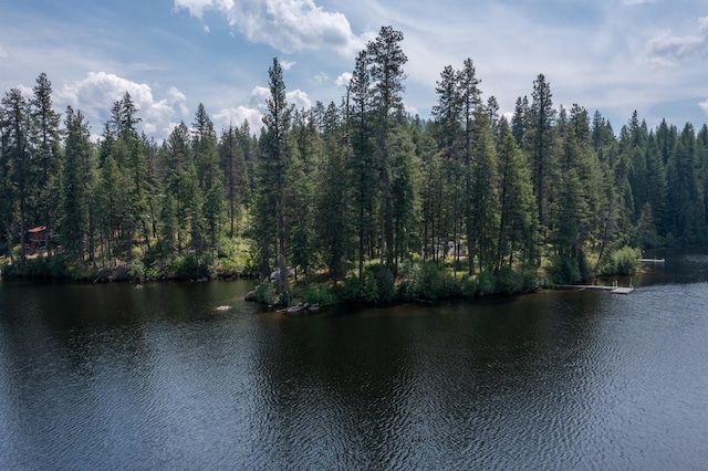 237 Mountain View Dr, Newport, WA 99156 - photo 8