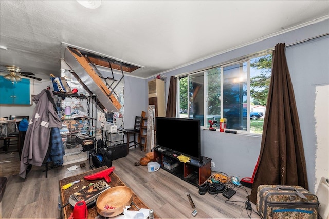 1111 W Main Ave, Chewelah, WA 99109 - living area featuring wood finished floors, ornamental molding, and a ceiling fan