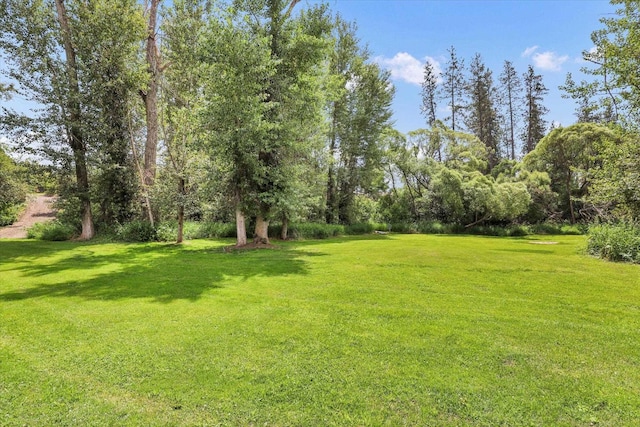 14417 N Dakota Rd, Spokane, WA 99208 - view of green lawn