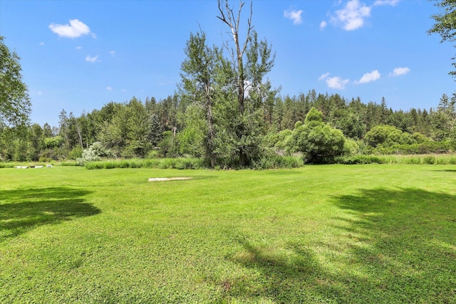 14417 N Dakota Rd, Spokane, WA 99208 - view of green lawn with a view of trees