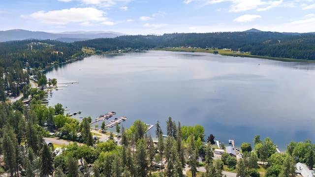 3318 Waitts Lake Rd, Valley, WA 99181 - photo 30