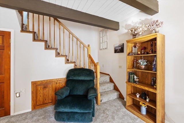 851 Balcom Rd, Newport, WA 99156 - photo 20