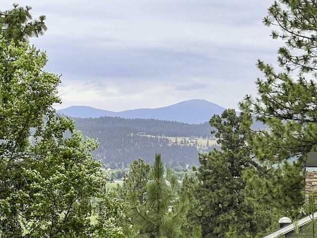 501 N Kennewick Ln, Liberty Lake, WA 99019 - photo 38