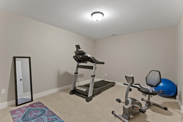 718 W Qualchan Ln, Spokane, WA 99224 - exercise room with carpet flooring
