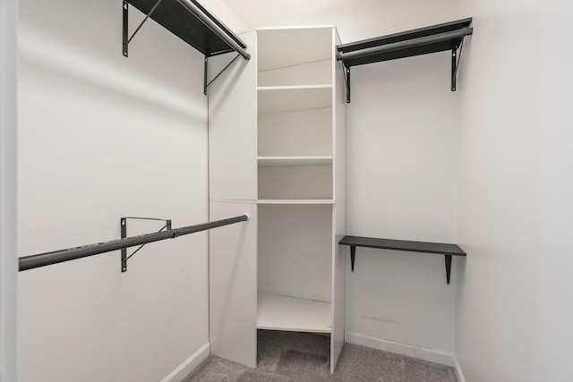 1819 N Center Ln, Spokane Valley, WA 99212 - spacious closet with carpet