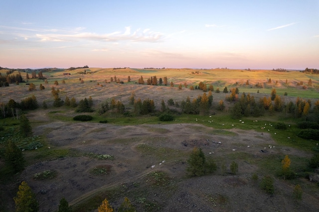 27000BLK S Pine Springs Rd, Cheney, WA 99004