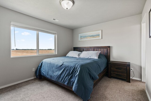 818 S Apple Pl, Spokane, WA 99224 - bedroom with carpet floors and baseboards