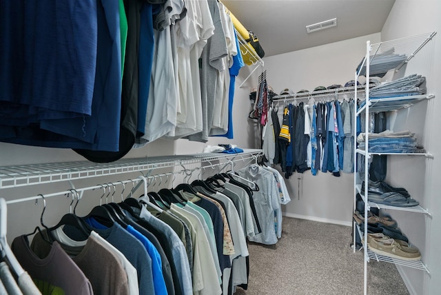 818 S Apple Pl, Spokane, WA 99224 - walk in closet with carpet floors