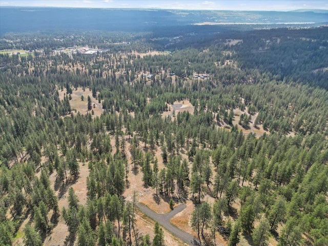 NKA Weaver Way Lot 1Of Lot 7, Deer Park, WA 99006 - photo 1