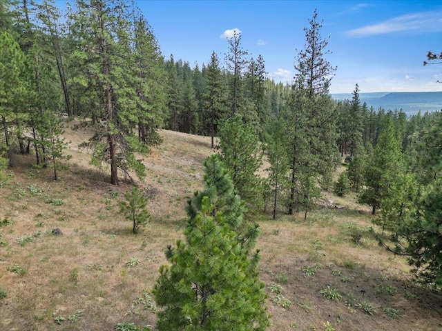 NKA Weaver Way Lot 1Of Lot 7, Deer Park, WA 99006 - photo 11