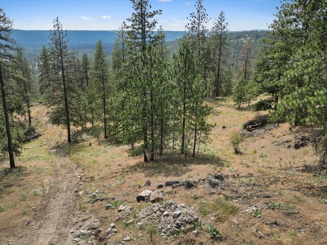 NKA Weaver Way Lot 1Of Lot 7, Deer Park, WA 99006 - photo 12