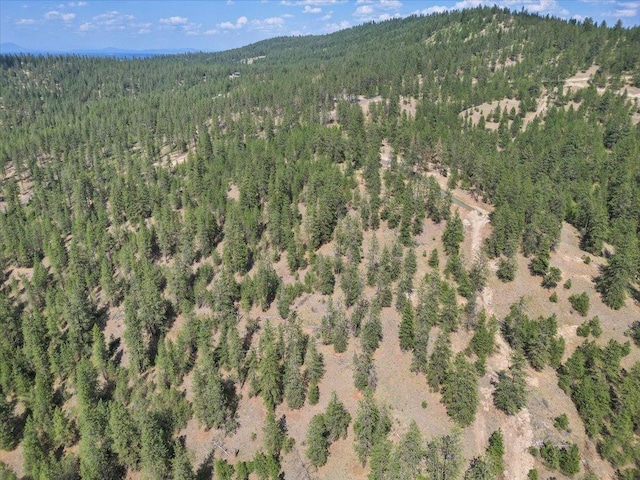NKA Weaver Way Lot 1Of Lot 7, Deer Park, WA 99006 - photo 4