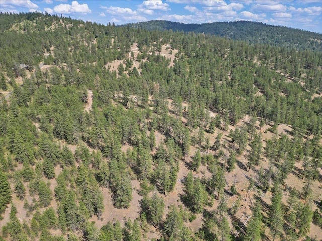 NKA Weaver Way Lot 1Of Lot 7, Deer Park, WA 99006 - photo 5