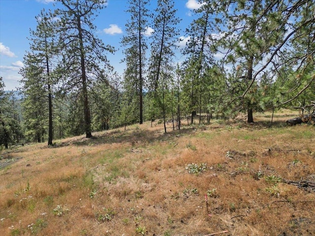 NKA Weaver Way Lot 1Of Lot 7, Deer Park, WA 99006 - photo 6