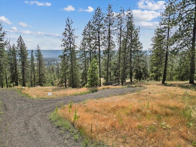 NKA Weaver Way Lot 1Of Lot 7, Deer Park, WA 99006 - photo 7