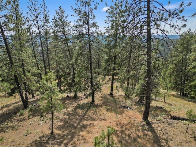 NKA Weaver Way Lot 1Of Lot 7, Deer Park, WA 99006 - photo 8
