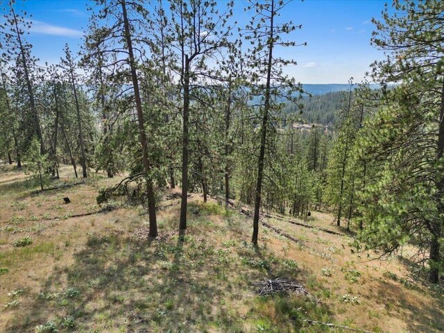 NKA Weaver Way Lot 1Of Lot 7, Deer Park, WA 99006 - photo 9