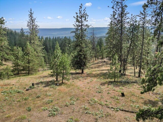 NKA Weaver Way Lot 1Of Lot 7, Deer Park, WA 99006 - photo 10