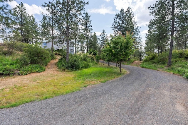 14427 W Pine Bluff Rd, Nine Mile Falls, WA 99026 - photo 3
