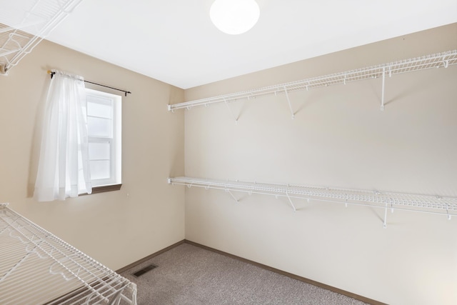 19915 S Ritchey Rd, Cheney, WA 99004 - spacious closet featuring carpet flooring