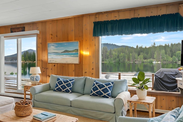 46273 Larson Beach Rd, Loon Lake, WA 99148 - photo 12