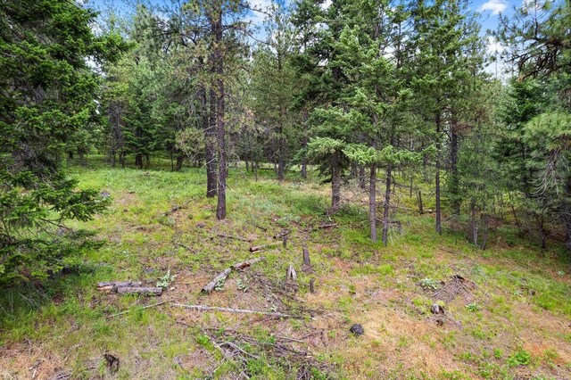 42919 N Big Foot Ln, Elk, WA 99009 - photo 26