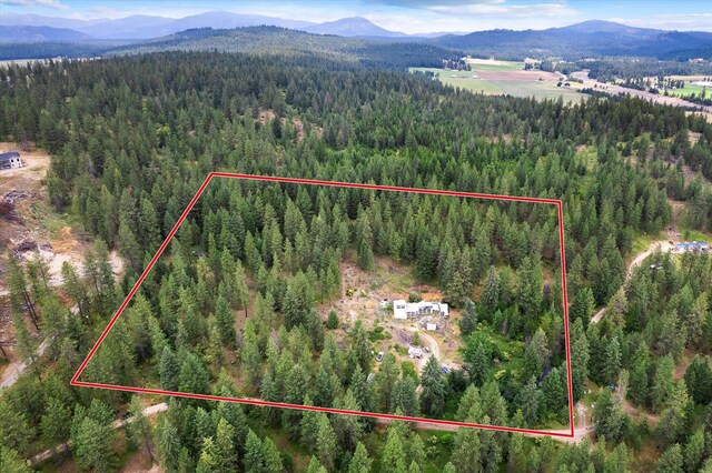 42919 N Big Foot Ln, Elk, WA 99009 - photo 31