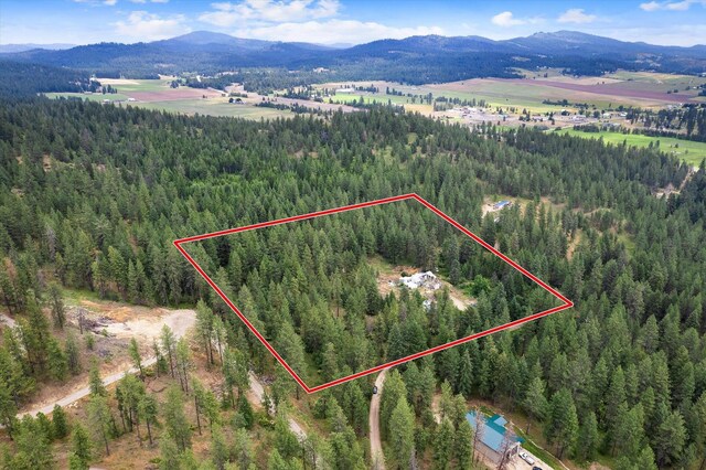 42919 N Big Foot Ln, Elk, WA 99009 - photo 32