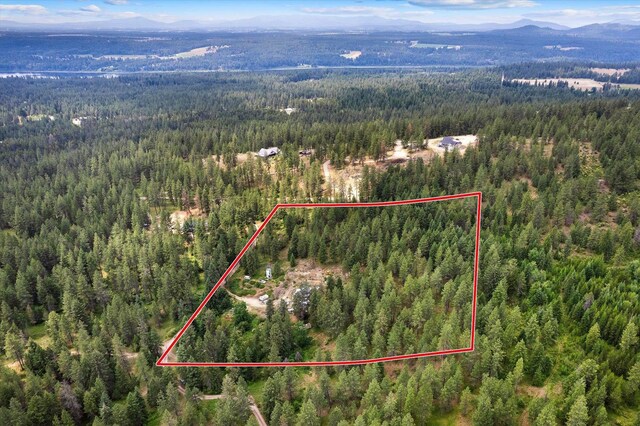42919 N Big Foot Ln, Elk, WA 99009 - photo 33