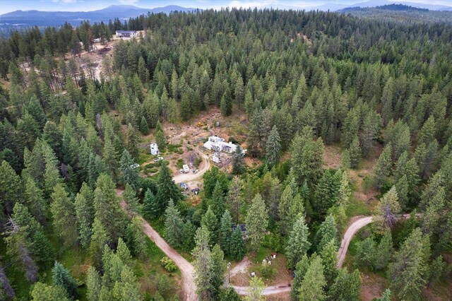 42919 N Big Foot Ln, Elk, WA 99009 - photo 34