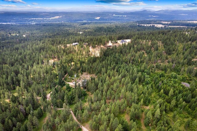 42919 N Big Foot Ln, Elk, WA 99009 - photo 39