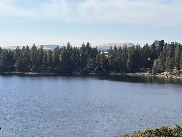 12613 S Meadow Rd Approx Address, Unit Approx Address, Medical Lake, WA 99022