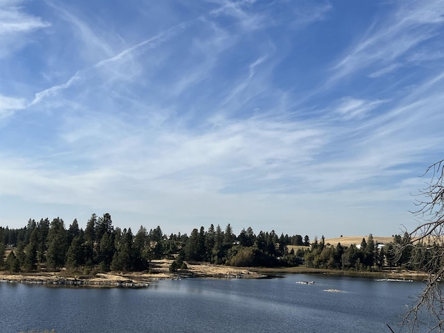 12613 S Meadow Rd Approx Address, Unit Approx Address, Medical Lake, WA 99022