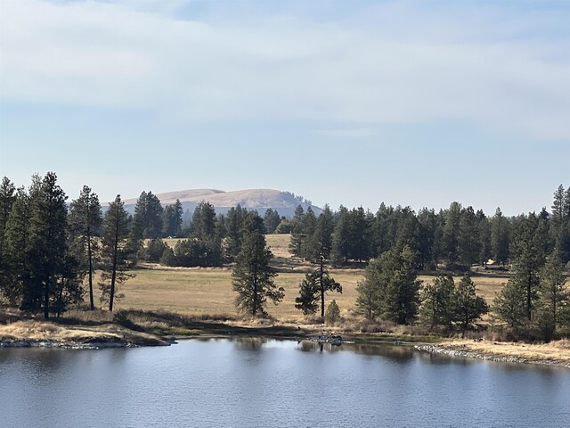 12613 S Meadow Rd Approx Address, Unit Approx Address, Medical Lake, WA 99022