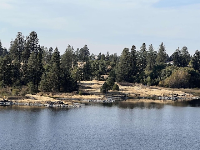 12613 S Meadow Rd Approx Address, Unit Approx Address, Medical Lake, WA 99022