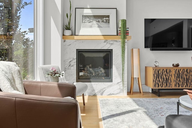 4408 E 23rd Ln, Spokane, WA 99223 - living area with wood finished floors, a high end fireplace, and plenty of natural light